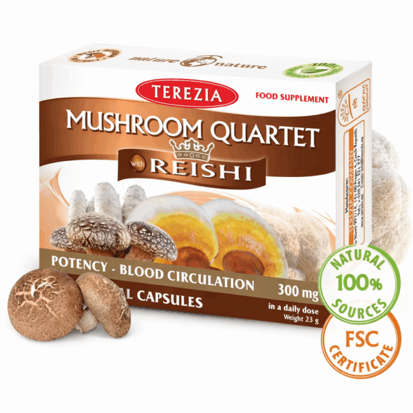 ČETRAS SĒNES AR REIŠI